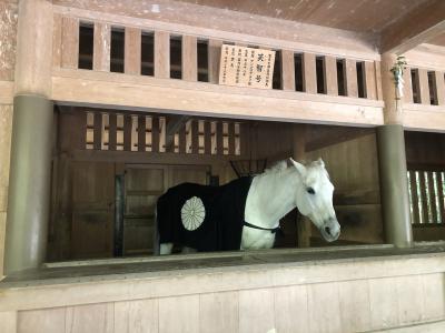 伊勢神宮 外宮 神馬