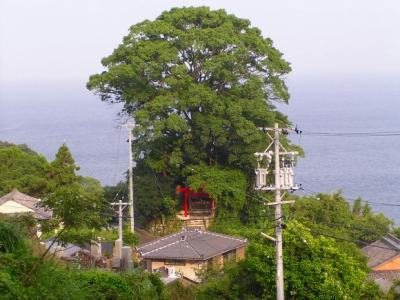 徐福ノ宮 社殿全体