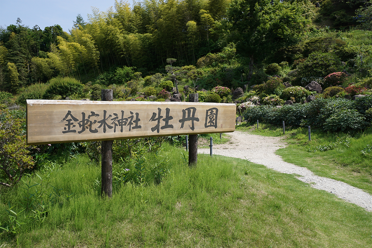 牡丹園