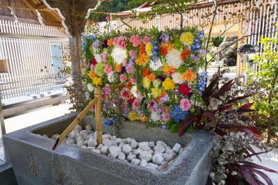 金蛇水神社 花手水舎