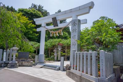金蛇水神社 鳥居と社号標