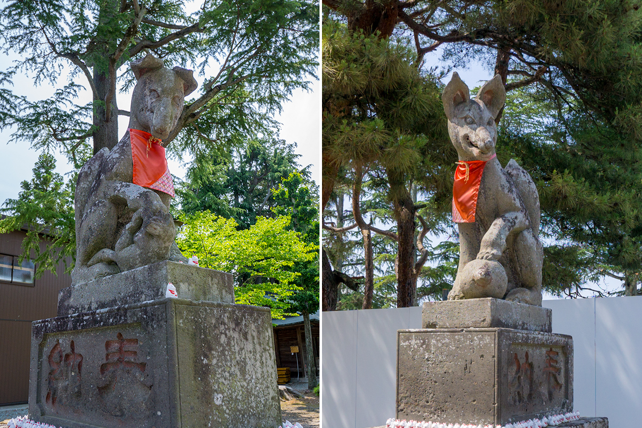 竹駒神社 狛狐