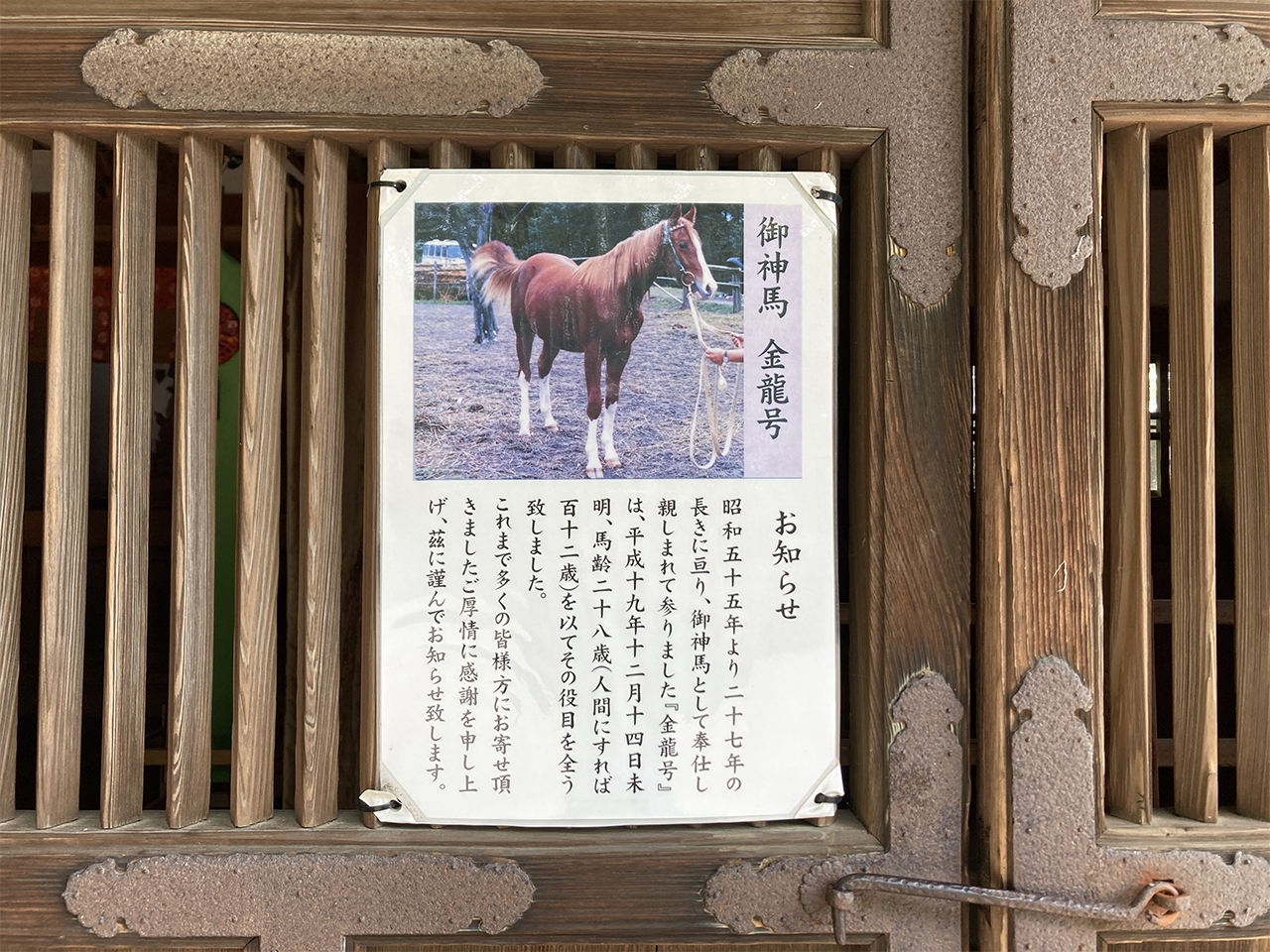 金龍号お知らせ