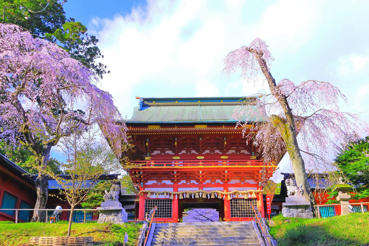 楼門と桜