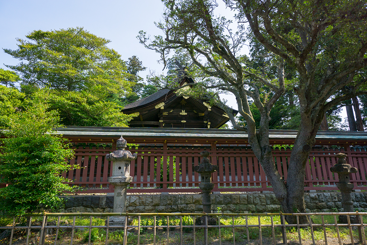 参道から見える別宮本殿