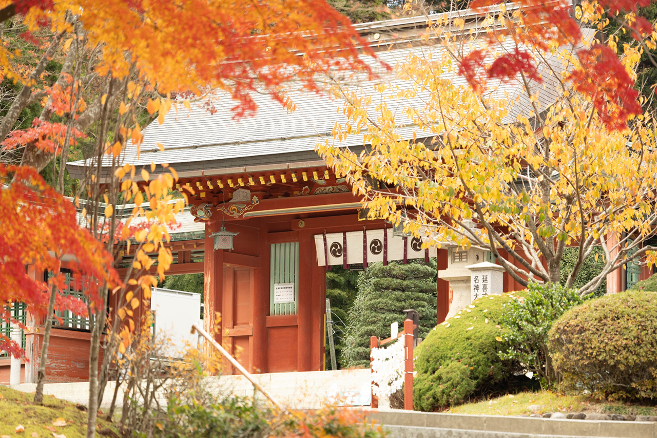 志波彦神社前の紅葉
