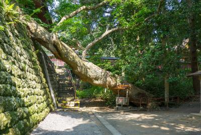 鹽竈神社 イボガミサマ
