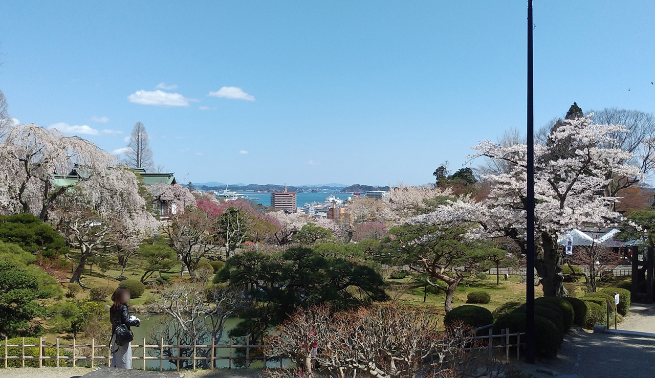 桜の季節の神苑