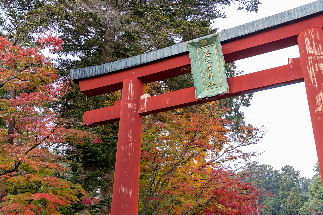 志波彦神社の鳥居と紅葉