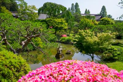 志波彦神社 神苑