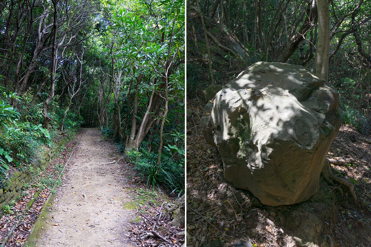 波切神社への道中の道と岩