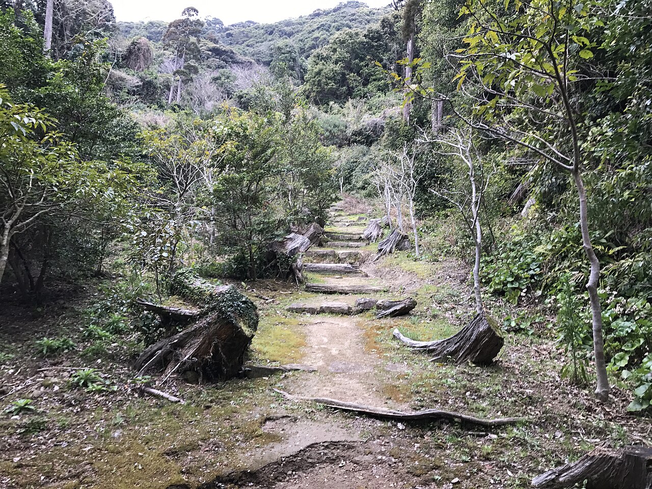 吾平山上陵への参道