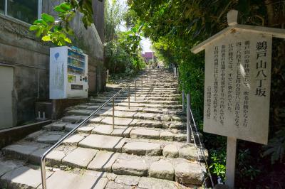 鵜戸神宮 手すりが付いた八丁坂参道