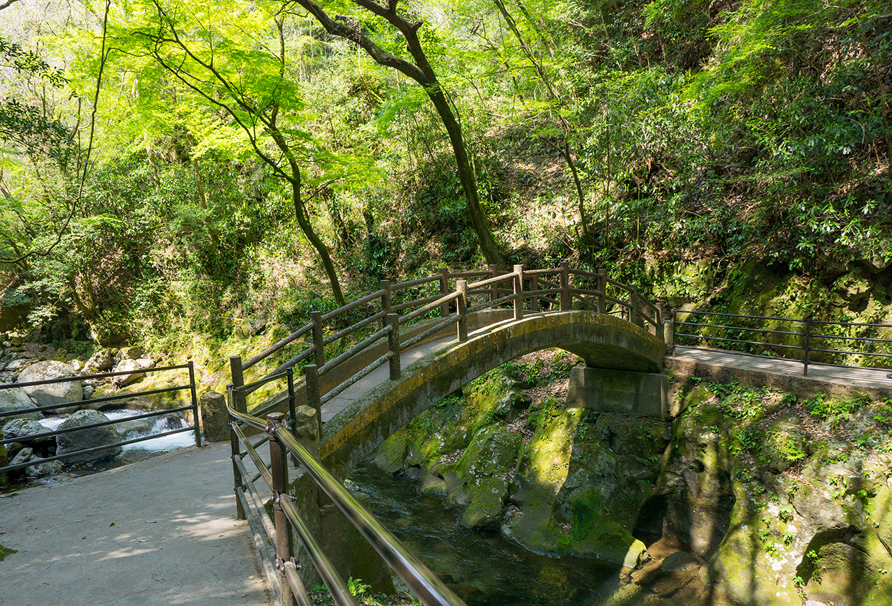 天岩戸神社 天安河原宮 太鼓橋