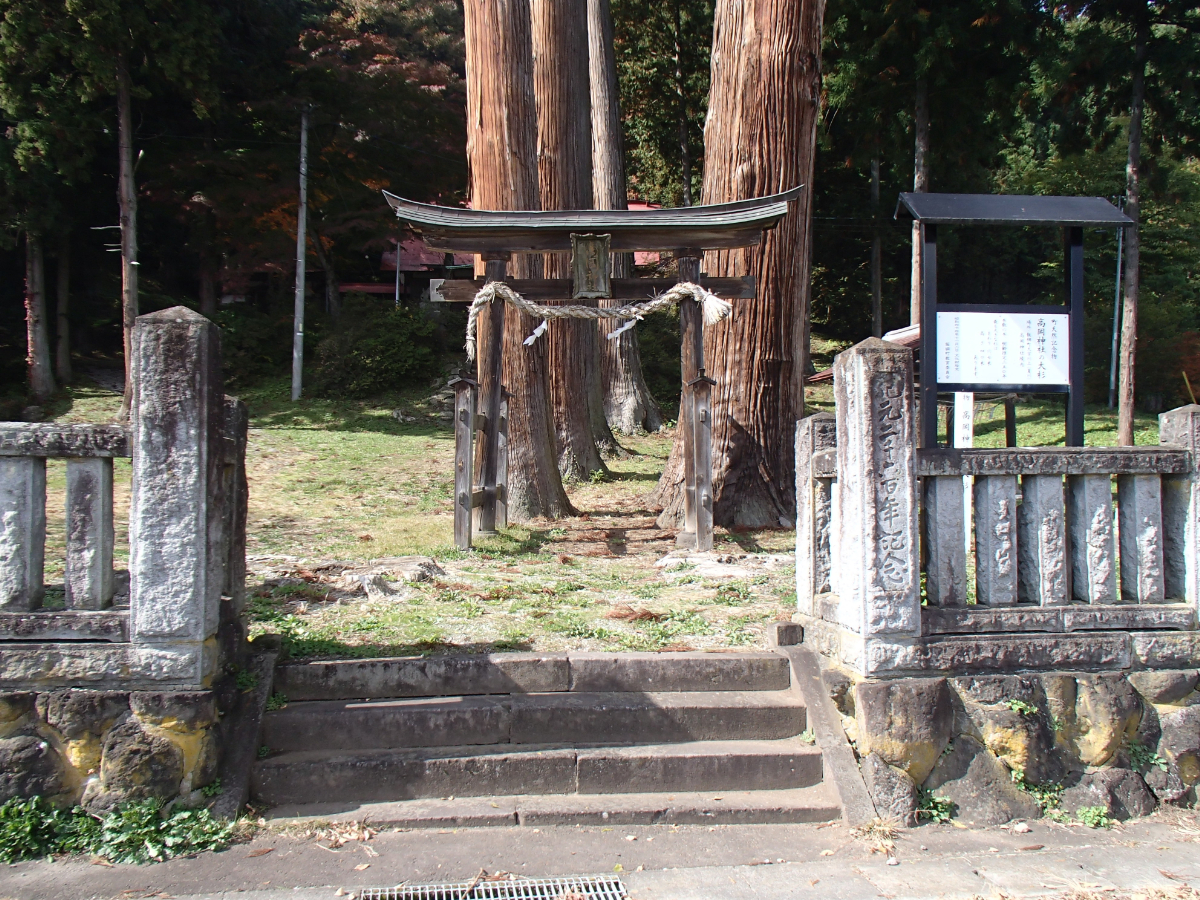 鳥居と高岡神社の大杉
