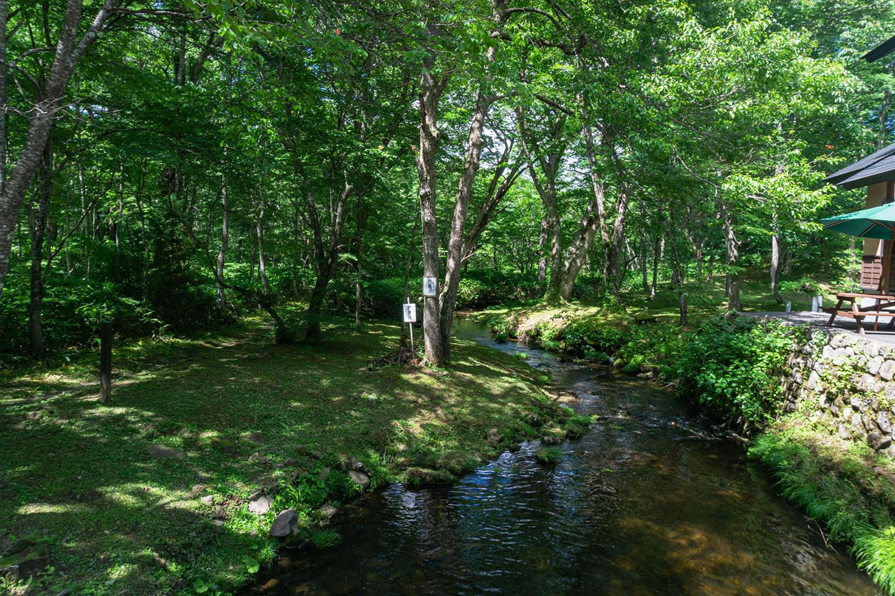 さかさ川