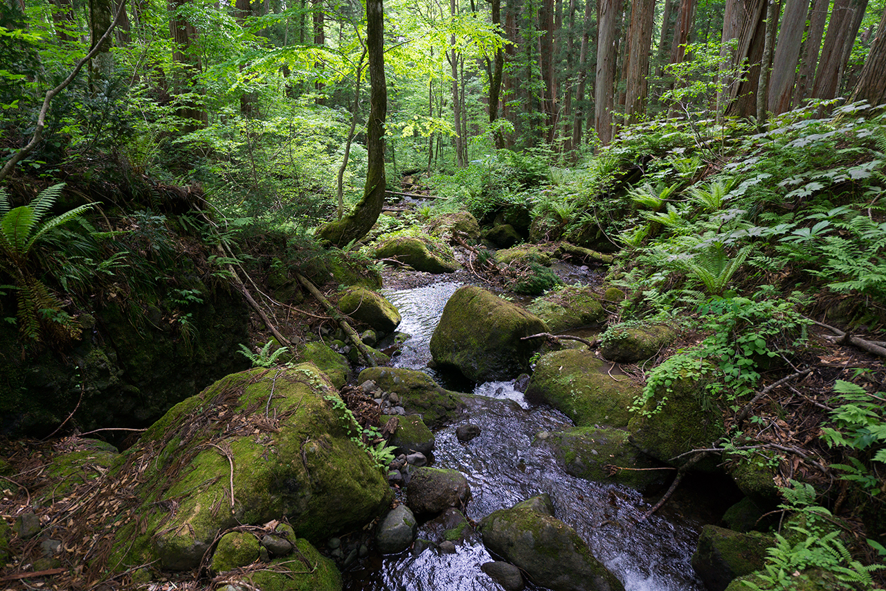 八水神の滝から流れ出た小川