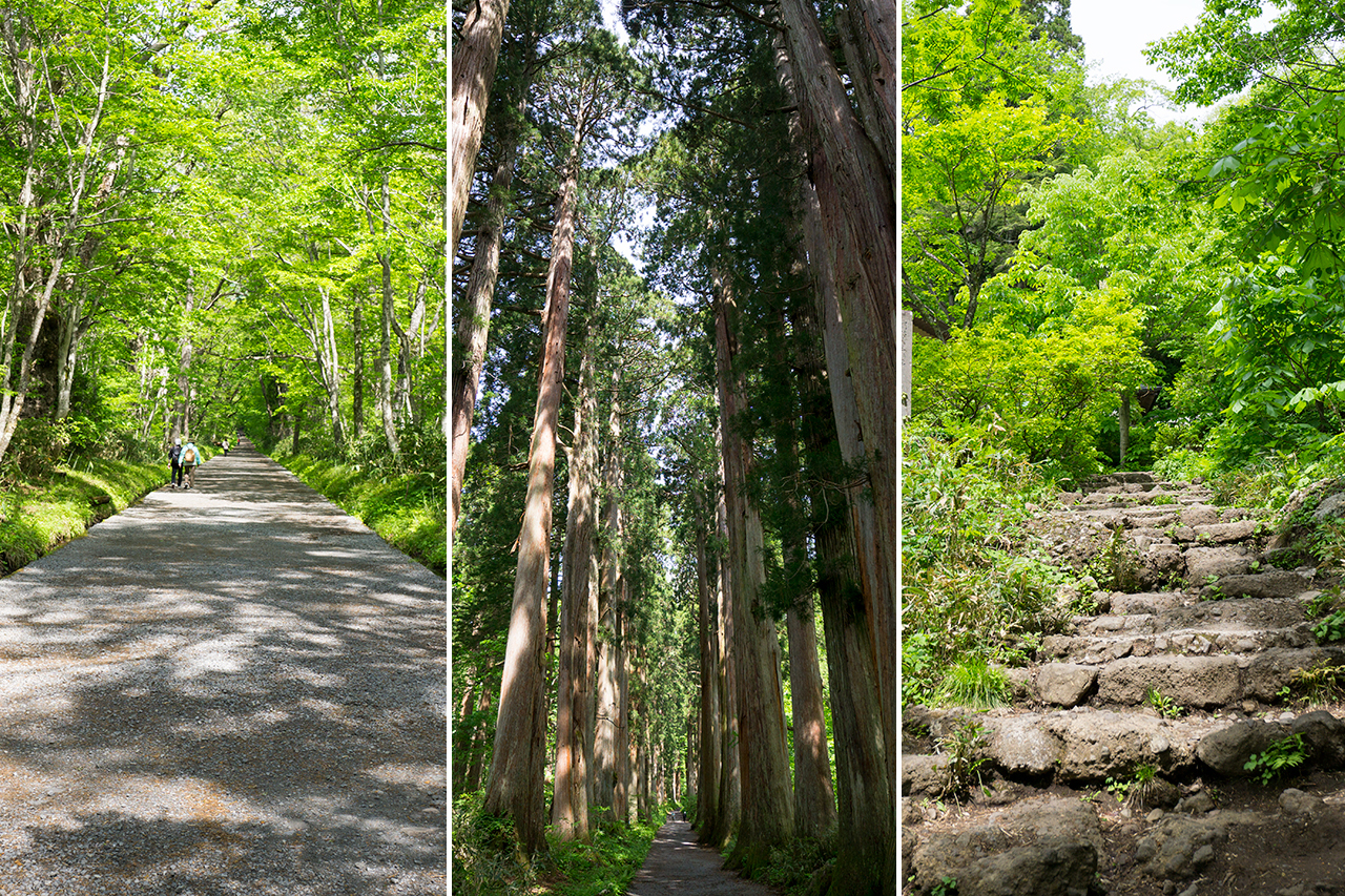 奥宮までの参道
