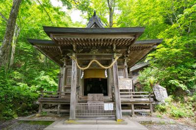 戸隠神社 九頭龍社 九頭龍社 社殿正面