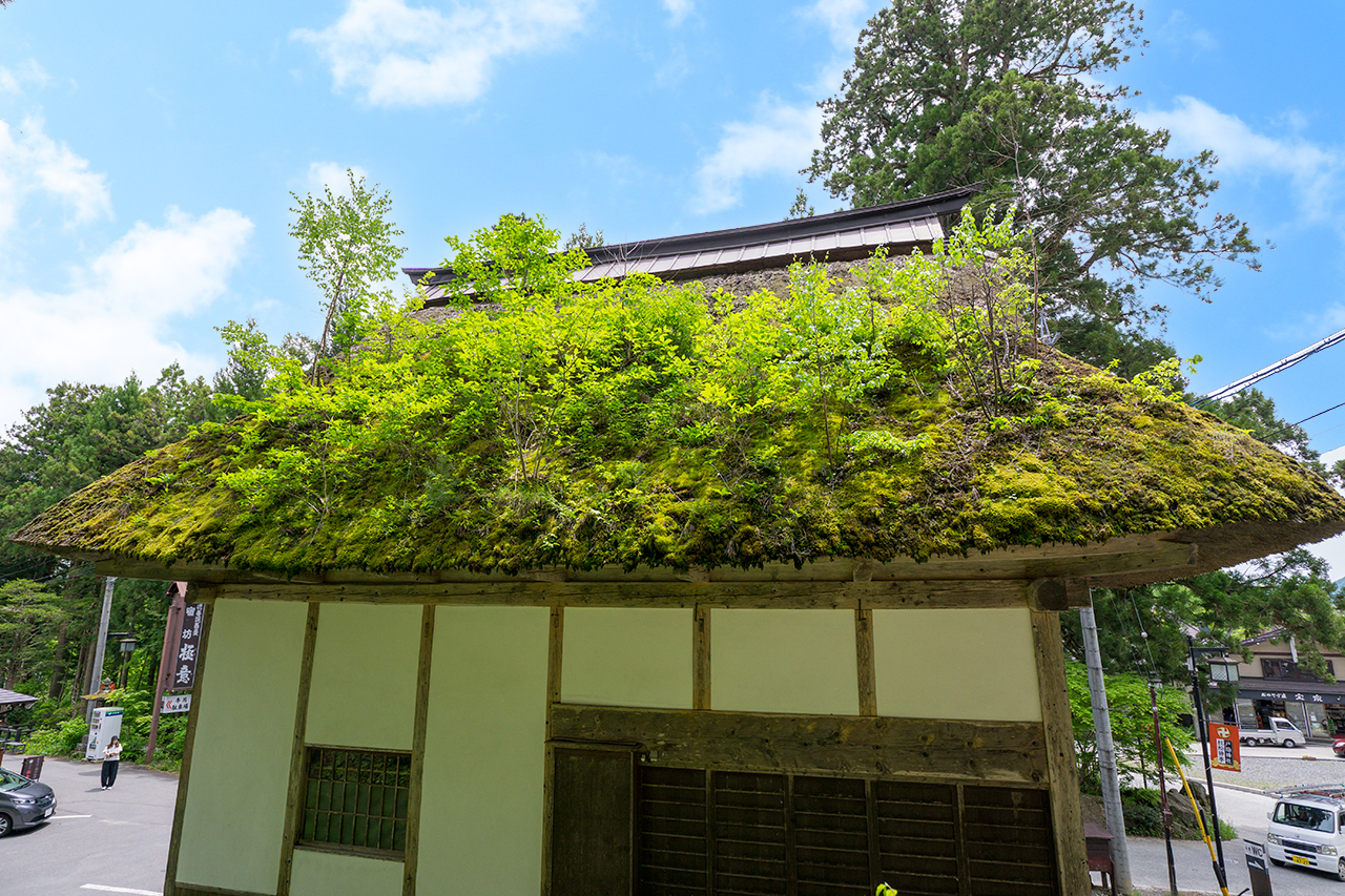 五斎神社 拝殿裏