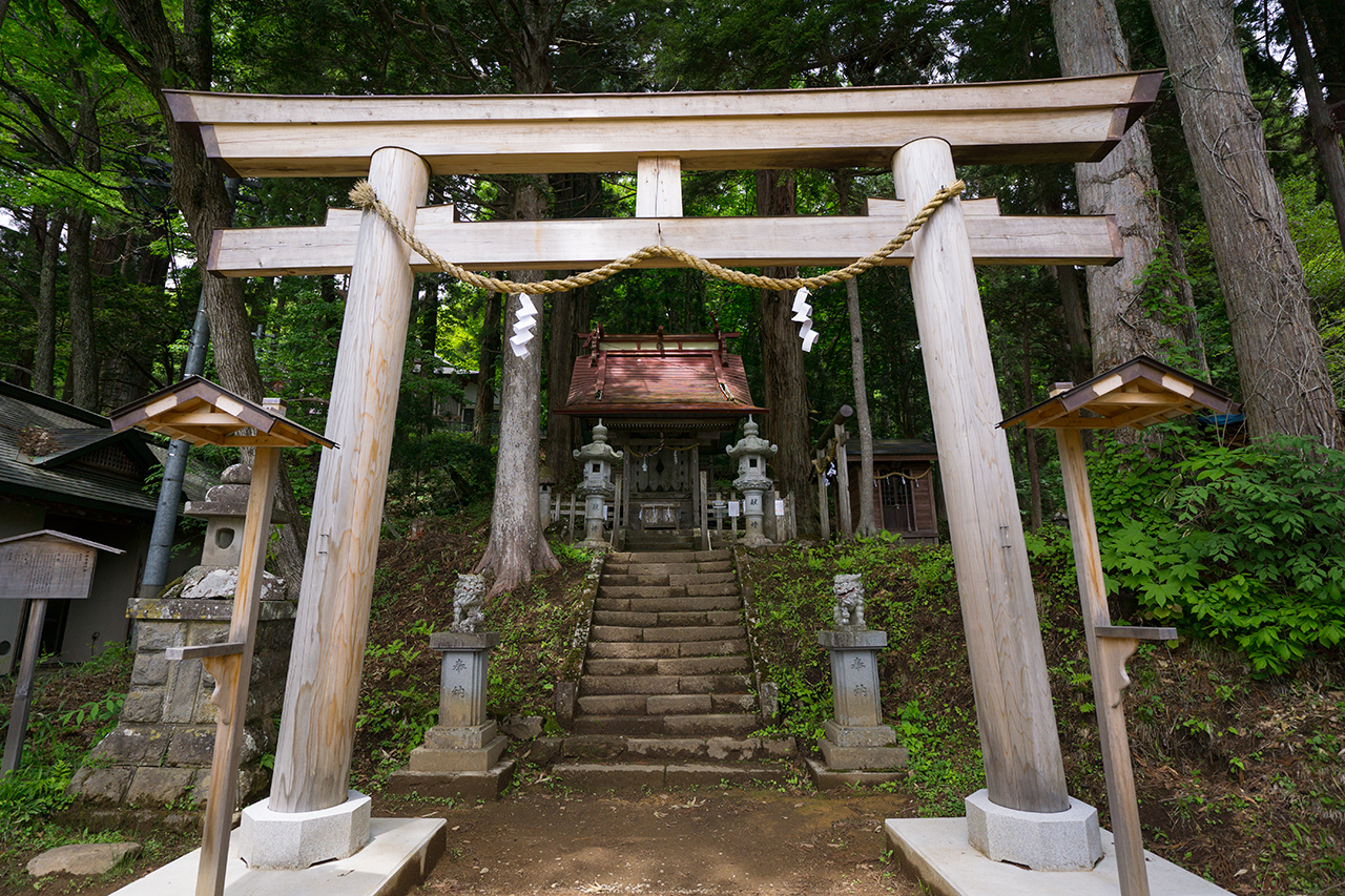 五斎神社 鳥居と本殿