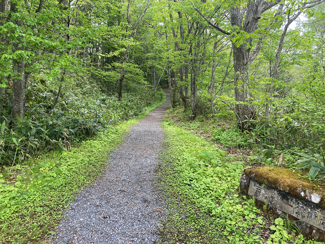 砂利道の戸隠古道