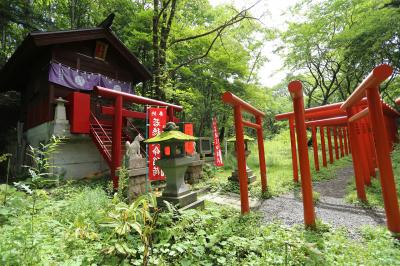戸隠神社 中社 天明稲荷 鳥居と社殿