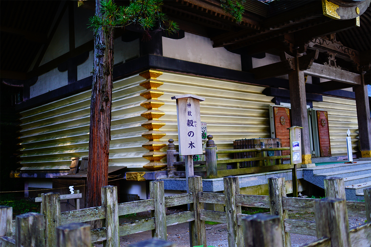穀の木の看板