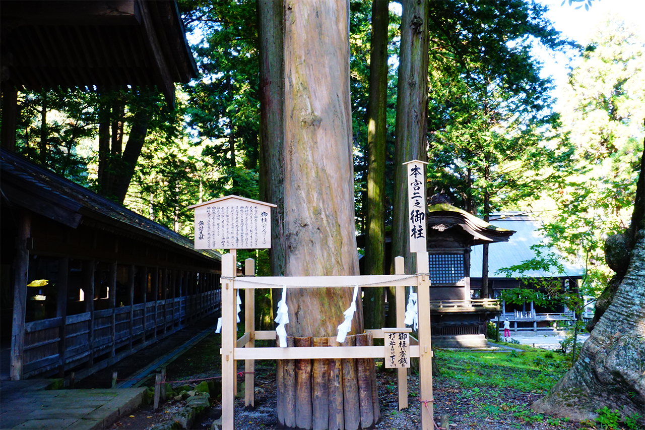 上社本宮の三之御柱