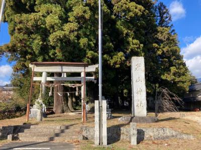 泰山神社 社号標と鳥居