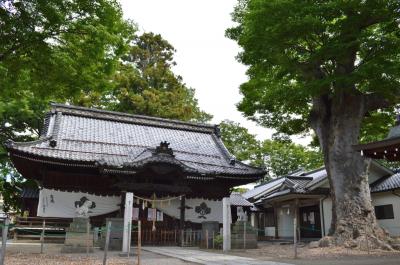 科野大宮社 拝殿とけやき