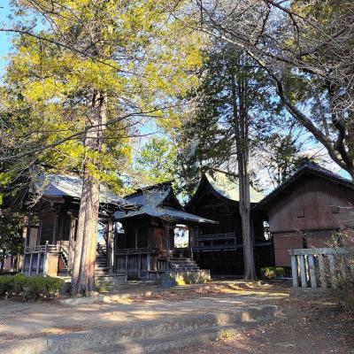 若宮八幡神社 社殿