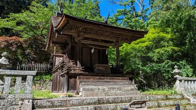 新海三社神社 東本社