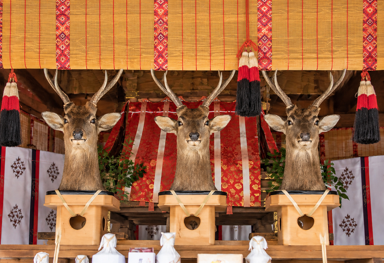 諏訪大社上社前宮  御頭祭