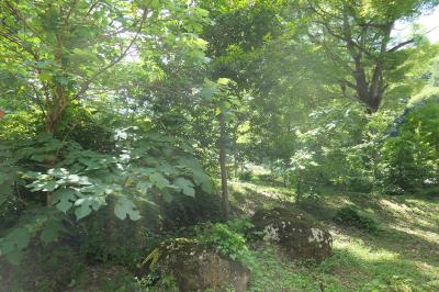 諏訪大社 上社前宮 神殿跡