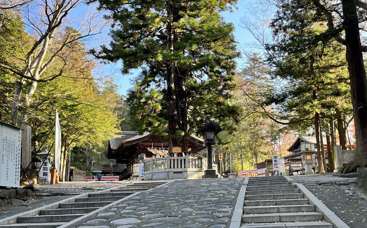 階段先にみえるネイリの杉