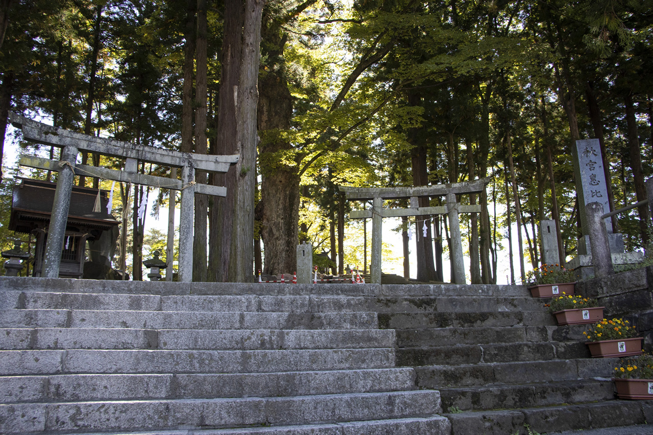 秋宮恵比寿社 八幡社の鳥居