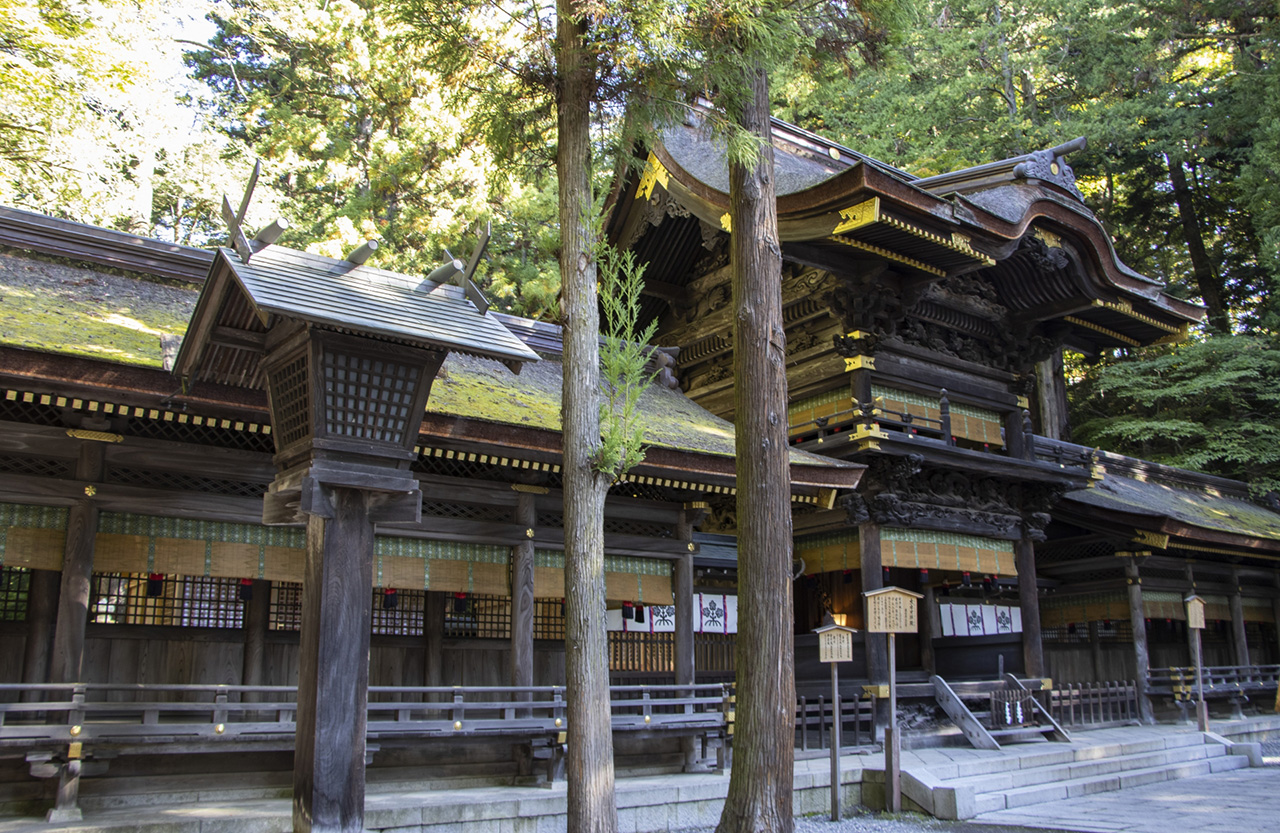 幣拝殿　斜め