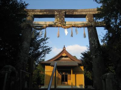 天手長男神社 鳥居と拝殿