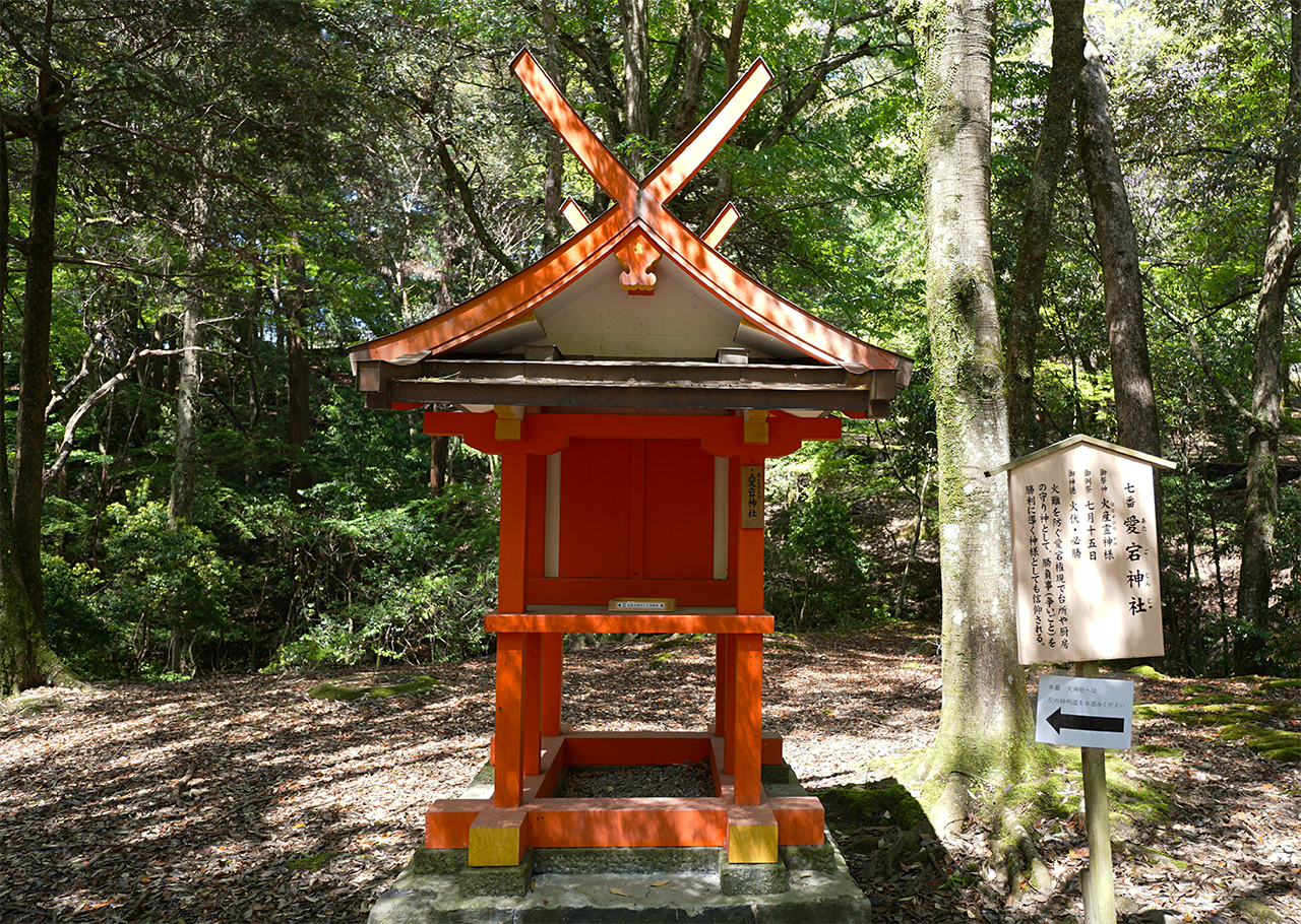 愛宕神社 社殿