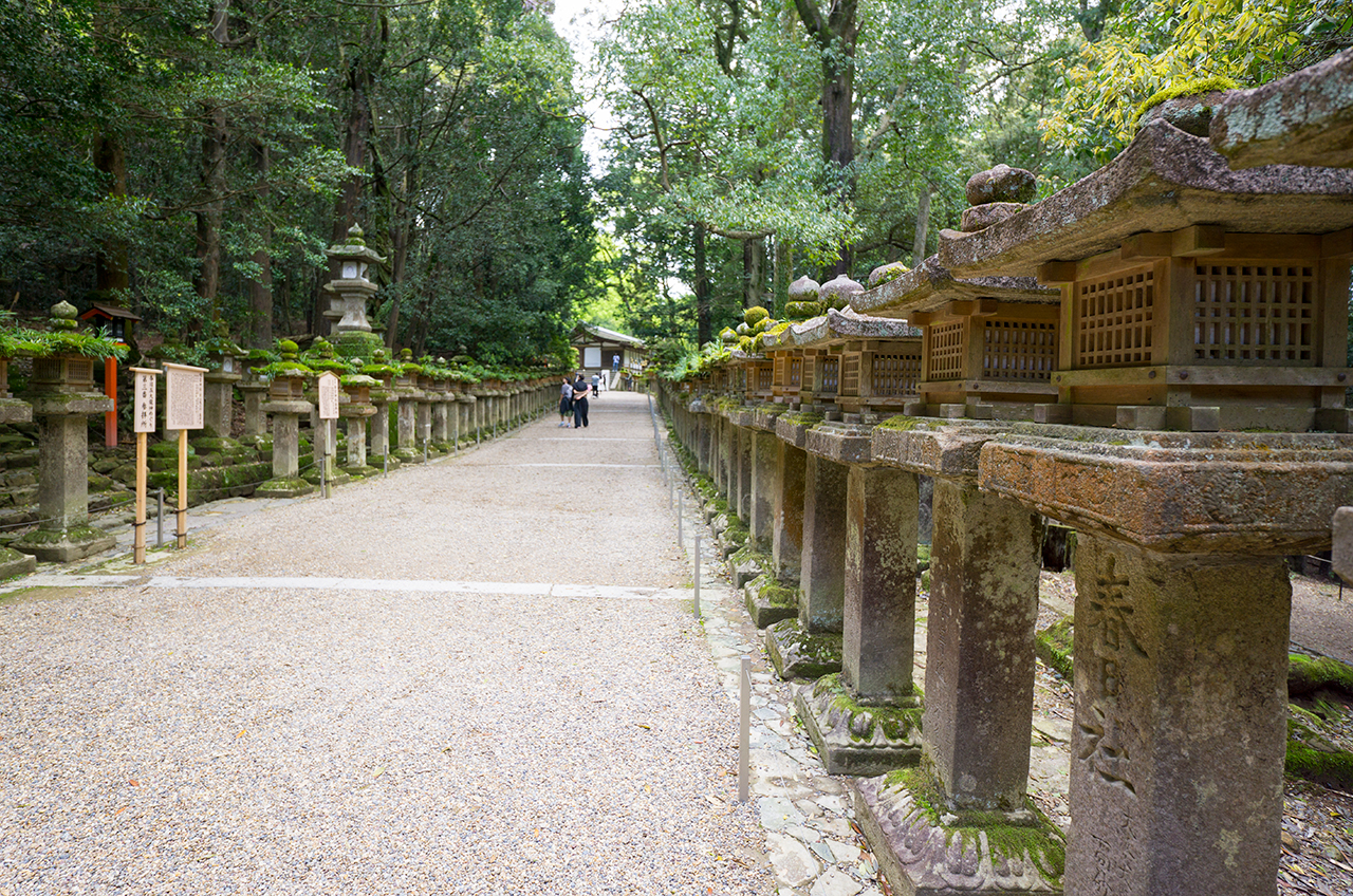 参道沿いの燈籠