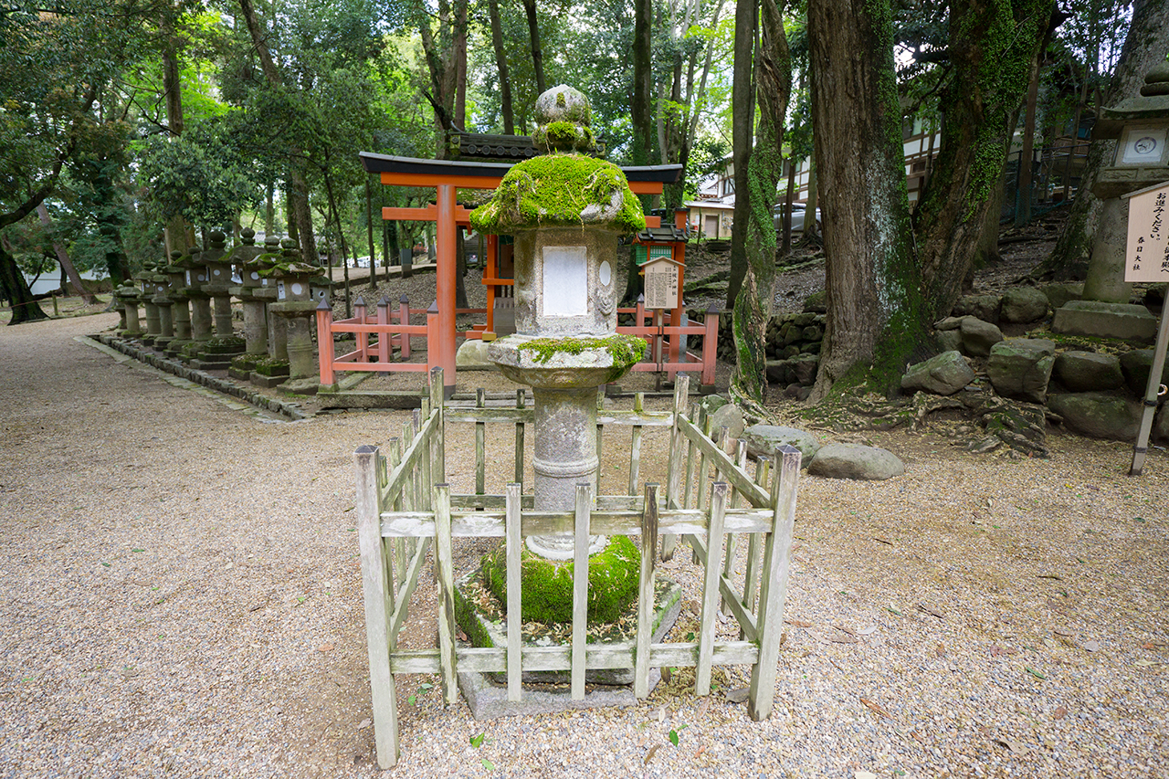 祓戸神社前の石灯篭