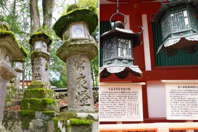 春日大社 燈籠と釣燈籠