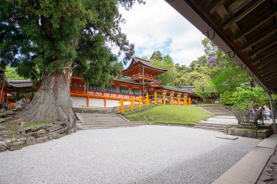 春日大社 林檎の庭