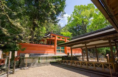 春日大社 若宮　鳥居と社殿