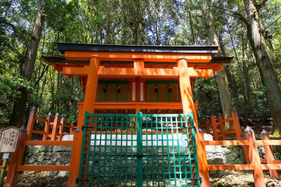春日大社 紀伊神社 鳥居と社殿