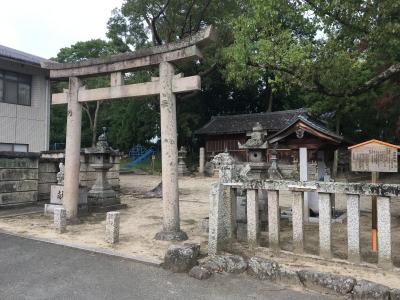 白山神社 鳥居と社殿