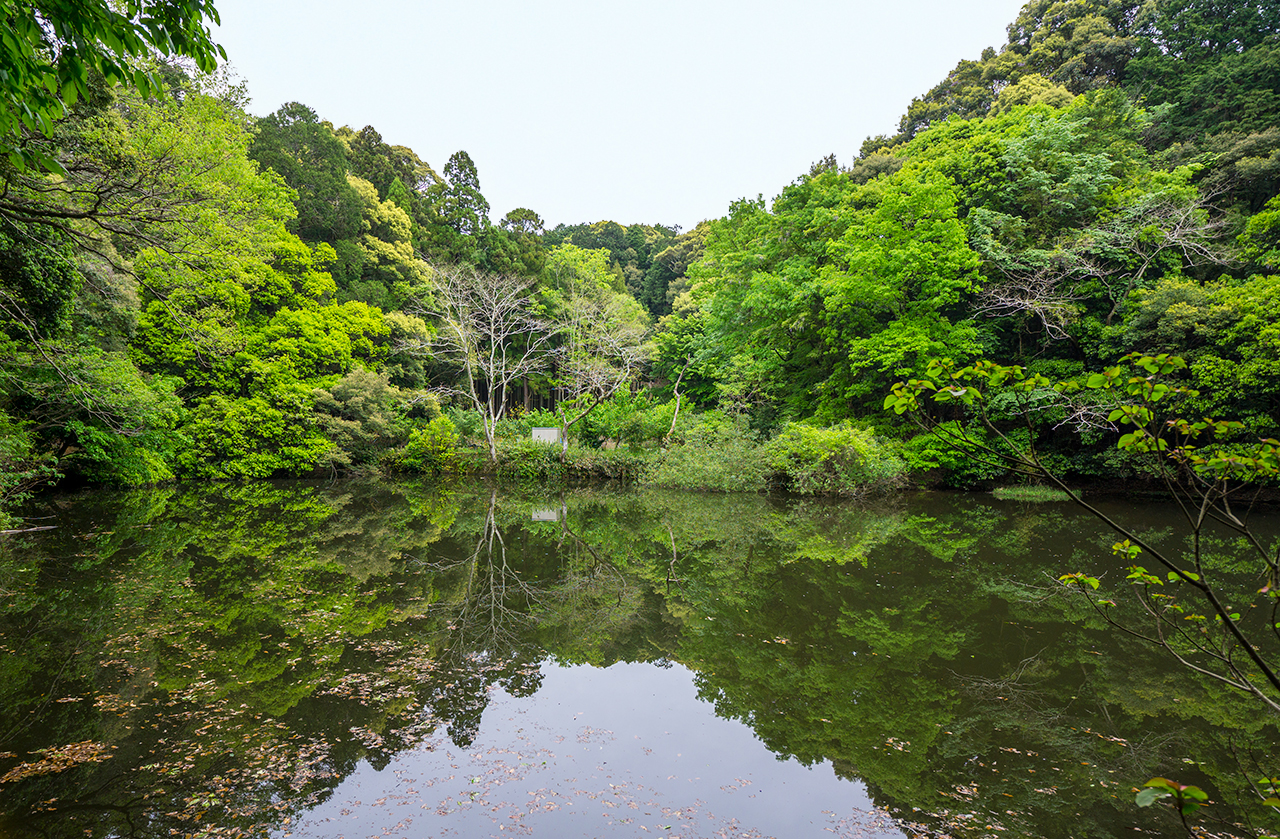 石上神宮 鏡池