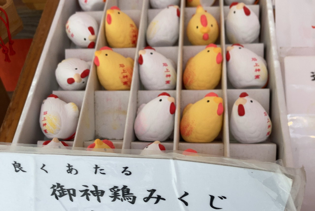 石上神宮 御神鶏みくじ