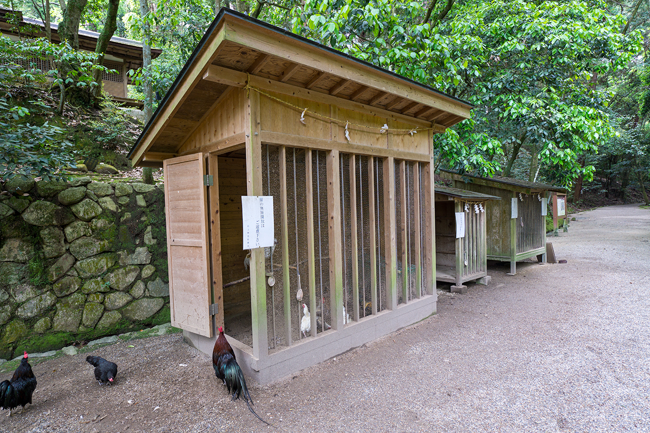石上神宮 ニワトリの小屋
